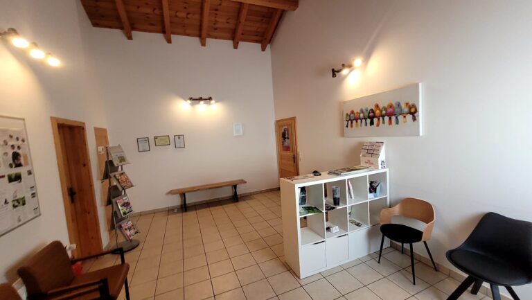 WhatsApp Image 2026-04-06 at 11.34.13