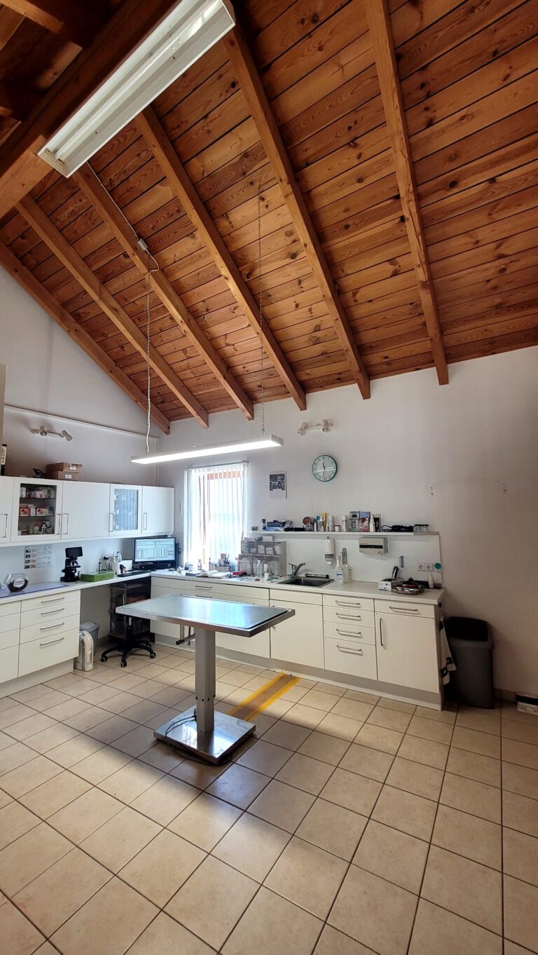 WhatsApp Image 2026-04-06 at 11.34.131