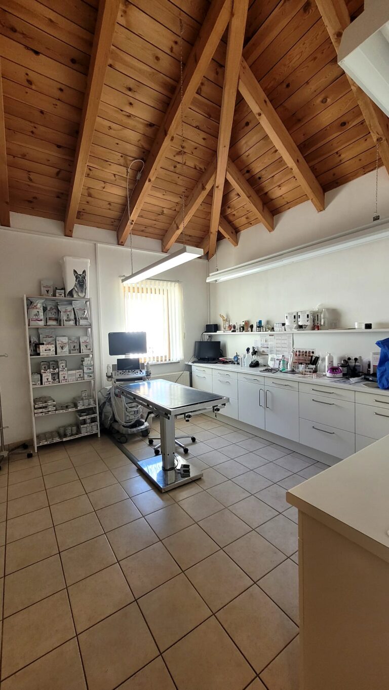 WhatsApp Image 2026-04-06 at 11.34.15